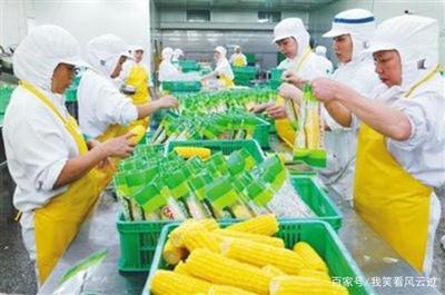 從大蒜之痛到農業(yè)之穩(wěn) 如何構建農產品價格“減震器”