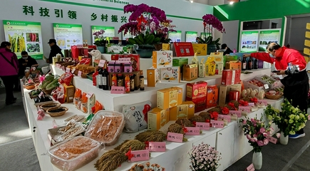 遼寧 品牌農產品讓舌尖感受香甜美食
